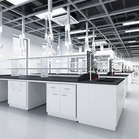 Mobiliario de Laboratorio Físico, Bancos de Prueba para Estudiantes de Física y Química con Fregaderos y Estantes para Reactivos