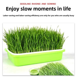 X103 nhà thủy canh nảy mầm phát triển khay đất miễn phí trồng Khay cho củ cải đậu nảy mầm bán buôn cây giống Vườn Ươm - Product Image 2