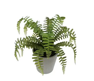 Bruiloft Verkopen Goed Kunstmatige Plastic Planten 28Cm Kunstmatig Decor Boston Varen Met Pot