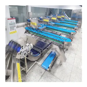 Weight Sorting Machine Corn Sweet Potato Selecting Equipment Box Sorting And Grading Machine