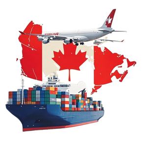 Top Brand logistico spedizionieri Ddp servizi di spedizione da cina a Usa Canada Mexico Lcl + express veloce e sicuro - Product Image 2