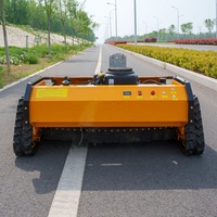 Mesin Pemotong Rumput Crawler Mini RC dengan Starter Elektrik dan Remote Control, Bersertifikasi CE EPA