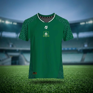 Ensemble de maillots de football domicile PFF 2025 pour adultes, vert, polyester, hauts et shorts, évacuation de l'humidité, col en V, 280g, imprimé par sublimation - Product Image 3