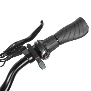 Envío gratis potente bicicleta eléctrica de acero de alto carbono City Frame 36V 15Ah Motor de buje trasero Electric City Ebike - Product Image 4