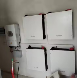 51,2V 100Ah Dyness DL5.0C Lithium-ion batterij 5kWh thuisbatterijsysteem Dyness ESS 5kWh laagspannings zonnebatterij - Product Image 6