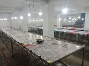 Sweat-shirt pour homme et femme à épaule dénudée, coupe ajustée, logo personnalisé, collection 2020 - Product Image 5