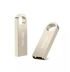 Chaveiro de metal com logotipo grátis, pen drive flash USB de 1GB 2GB, unidade de memória USB, caneta flash