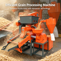 Offre Spéciale : Machine à décortiquer le riz 600-1000 kg/h avec éliminateur de pierres, décortiqueur et polisseuse intégrés, production de son de riz fin pour le traitement des céréales en milieu rural