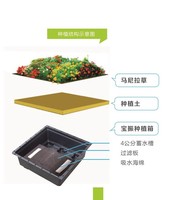 Plateau de toit vert Sedum Grande jardinière de jardin en plastique Plateaux de toit vert