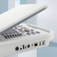 Valid CE SONOIMAGE Veterinary N20 Doppler Ultrasound Class II Medical Instrument Ensures Precise Diagnostic Imaging on Farms