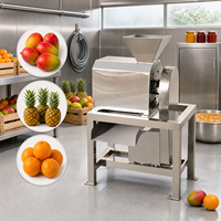 Fabrieks Prijs Fruit Palm Dadel Ananas Papaya Pruim Abrikozenpit Pulpmachine met Motor Hoge Productiviteit 380V