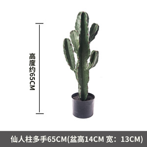 Chất Lượng Cao Bán Buôn Nhân Tạo Cây Xương Rồng Phong Cách Và Bền Giả Nhựa Pe Trang Trí Nội Thất Nhà Máy - Product Image 6