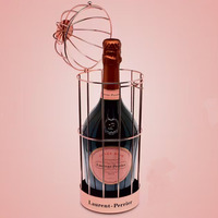 Présentoir à Bouteilles de Vin Champagne OEM, Support Suspendu pour Bouteilles de Vin, Idéal pour les Spiritueux et Boissons Françaises