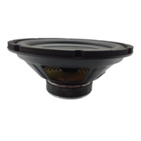 Subwoofer de escenario profesional de 10 pulgadas con 35 núcleos 110 magnetismo 4Ω Woofer de ferrita hecho en Guangzhou Metal pasivo