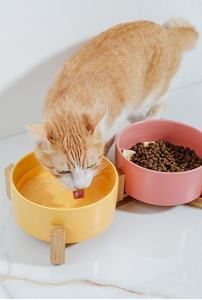 Kedi seramik hiçbir dökülme köpek maması kaseleri yiyecek kasesi evcil hayvan su için yiyecek kasesi seramik çift tutucu - Product Image 5