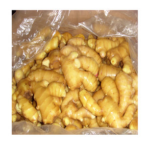 2025 tươi gừng giá rẻ giá hăng và ngon Trung Quốc Nhà cung cấp chất lượng cao gừng giá bán buôn - Product Image 5