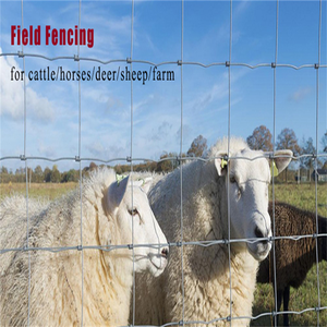 Factory Direct Sale Yuking Brand Low Carbon Steel Galvanized <b>Crimped</b> Wire Farm Fence for Deer and Sheep with Customizable Gauge - Product Image 2