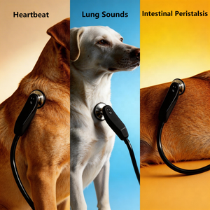 Estetoscopio Veterinario Bluetooth para Perros, Estetoscopio Digital Inalámbrico, Monitor Inteligente de Pulmones y Corazón para Clínicas Veterinarias - Product Image 3
