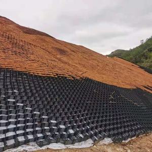 HDPE 벌집 지오그리드 룸 옹벽 경사 토양 보호를위한 녹색 지오그리드 룸 - Product Image 5