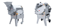 Machine à trancher les chips de pommes de terre industrielles 50-100 kg/h, friteuse électrique continue certifiée CE, ligne de production de chips de pommes de terre