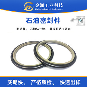 Joint torique DSH en PTFE, résistant à la corrosion haute température, composant d'étanchéité pour vérin hydraulique, pièce standard - Product Image 5
