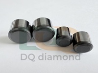 1308 Inserts de coupe cylindriques PDC polis à double chanfreinage OEM pour trépans de forage pétrolier et gazier - Pièces d'outillage 1313 1613