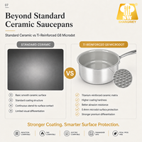 Casserole en titane G8 avec revêtement céramique Microdot, en acier inoxydable triple couche, 16 cm, sans PFAS, antiadhésive, fabricant d'ustensiles de cuisine OEM