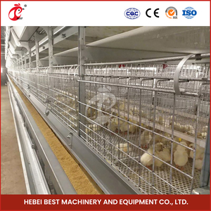 Çin bebek civciv kafes çiftlik H tipi Pullet Coop galvanizli yüzey işleme ahşap Pullet Coop - Product Image 4