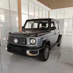 Vehículo Eléctrico Todoterreno G SUV CE de Calidad con Logotipo Personalizado, Vehículo Eléctrico de Nueva Energía de 5kw, Electromóvil Todoterreno de 3500w, Coche Eléctrico de 4 Ruedas y 500kw para Adultos - Product Image 6