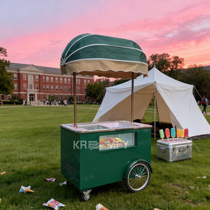 Chariot de glaces italiennes (gelato) avec congélateur pour la rue de Malaisie, modèle 2025 - Product Image 2