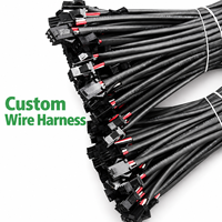 JST SM XA Molex SL 2.5mm 2.54mm 2P 3P 4P 5P 6P 8P 10P 12P 15P 20P Assemblage de faisceau de câbles verrouillable OEM