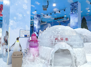 Trò chơi công viên tuyết tùy chỉnh và thiết kế chức năng giải pháp giải trí trong nhà và ngoài trời - Product Image 3
