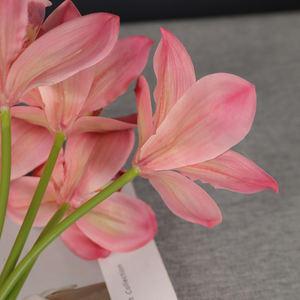Ingrosso vero tocco Cymbidium <span class=keywords><strong>Orchid</strong></span> basso MOQ composizione floreale morbido PVC Cymbidium fiore fascio di orchidee artificiali - Product Image 4