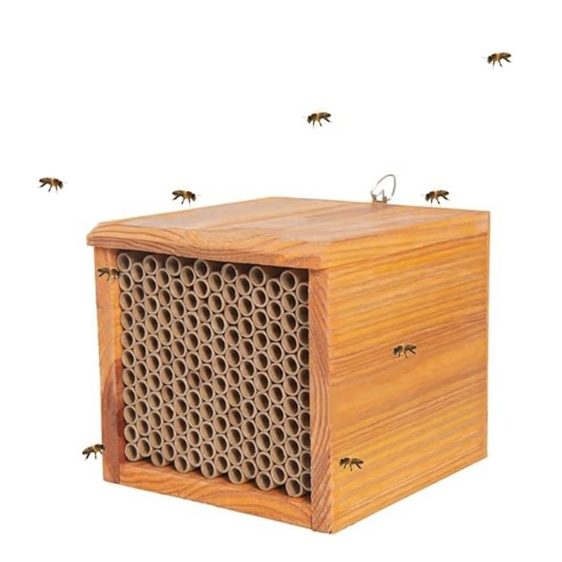 Durable Wooden Classic Beehives with Natural