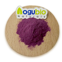Poudre de baies de maqui lyophilisée biologique naturelle, extrait de plante naturelle de haute qualité, poudre de baies de maqui