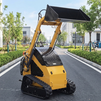 Mini-Kompaktlader mit Radantrieb, Benzinmotor, CE EPA Euro 5, für Schneeräumung, Landschaftsbau und Gartenarbeit, mit Anbaugeräten