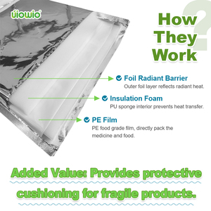 Uiowio Tùy Chỉnh Kim Loại Cách Điện Nhiệt Ziplock Không Thấm Nước Lạnh Chuỗi Y Học Dược Phẩm Bao Bì Túi Bưu Phẩm - Product Image 4