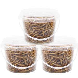 Yüksek Protein Mealworms vahşi kuş, tavuk, ördek, balık, sürüngen, kaplumbağa, amfibi, kertenkele - Product Image 1
