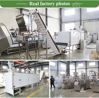 Processus alimentaire professionnel Spaghetti Macaroni Vis Shell Fabrication De Make Line Machine avec mélangeur