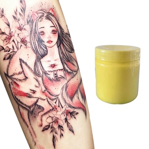 Venta al por Mayor de Productos Nuevos 2025, Kit de Maquillaje para Tatuajes, Crema para Tatuajes con 79.9% de Pigmento, Tinta para Tatuajes de Cejas y Labios - Product Image 1