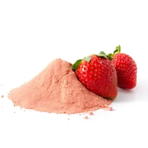 Food Grade Natural Fruit Vegetable Strawberry Powder 99% Fresh Fruit Powder Freeze Dried Strawberry Powder