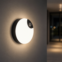 Veilleuse LED à commande par capteur intelligent, installation magnétique, rechargeable par USB et à intensité variable, portable pour chambre, armoire et placard