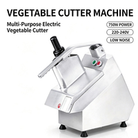 Robot culinaire professionnel en acier inoxydable BOTE, machine à couper les légumes électrique multifonctionnelle