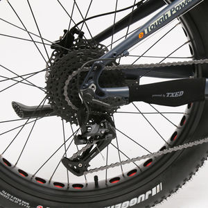 TXED 750W Bafang <span class=keywords><strong>moteur</strong></span> de moyeu arrière vélo électrique gros pneu E <span class=keywords><strong>VTT</strong></span> vélo électrique - Product Image 4