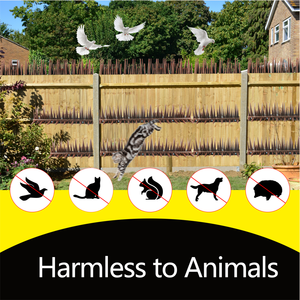 Púas para Pájaros para Control de Palomas, Púas Anti-Pájaros para Exteriores para Alféizares de Ventanas - Product Image 5