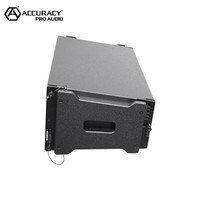 Accuracy Pro Audio LA210A-D4-RQPRO PFC - Módulo de Línea Activa Profesional Compacto con Revestimiento de Poliurea Neo de 2 x 10 Pulgadas