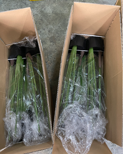 Giá thấp nhất chất lượng bảo hành Nhân tạo du lịch của cây cọ cây nhiệt đới cho trong nhà và trang trí - Product Image 3