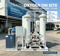 Générateur d'azote PSA industriel antidéflagrant pour la fabrication de peinture liquide inflammable