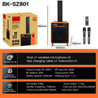 Enceinte portable de karaoké 8 pouces avec Bluetooth, 10W, rechargeable, pour KTV domestique, intérieur et extérieur, vente en gros