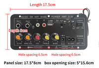 Amplificateur de puissance mono Bluetooth HIFI D30 30W avec double microphone karaoké 12V 24V 220V
